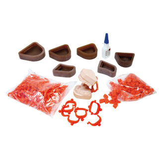 Articulador de plástico desechable - Kit completo